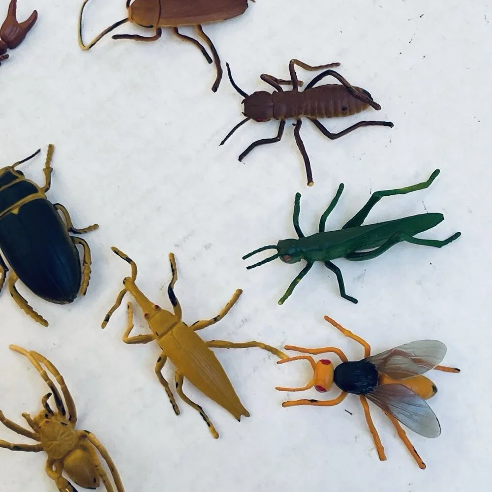 Insects‎ Beetle Fly Weevil Mantis Spider Grasshopper 12 Pieces 2in Vintage 1989